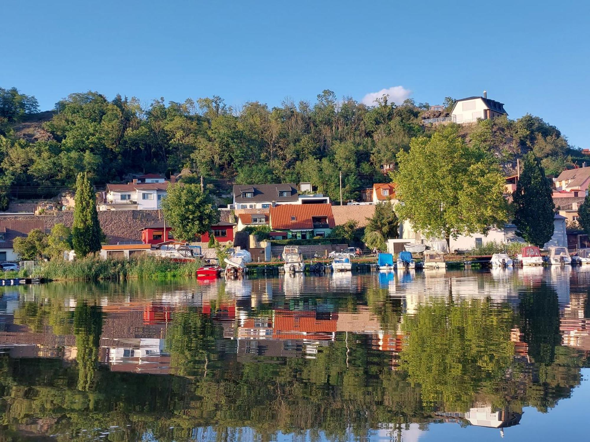 Ferienhaus Saaleblick Wettin Екстериор снимка